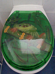 Frosch auf einem WC-Deckel