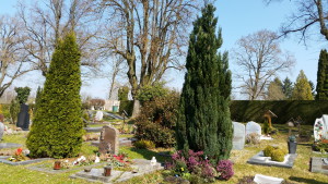 Frühling auf dem Friedhof in Konstanz