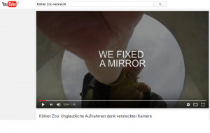 We fixed a mirror - Vorschau aufs Video vom Kölner Zoo