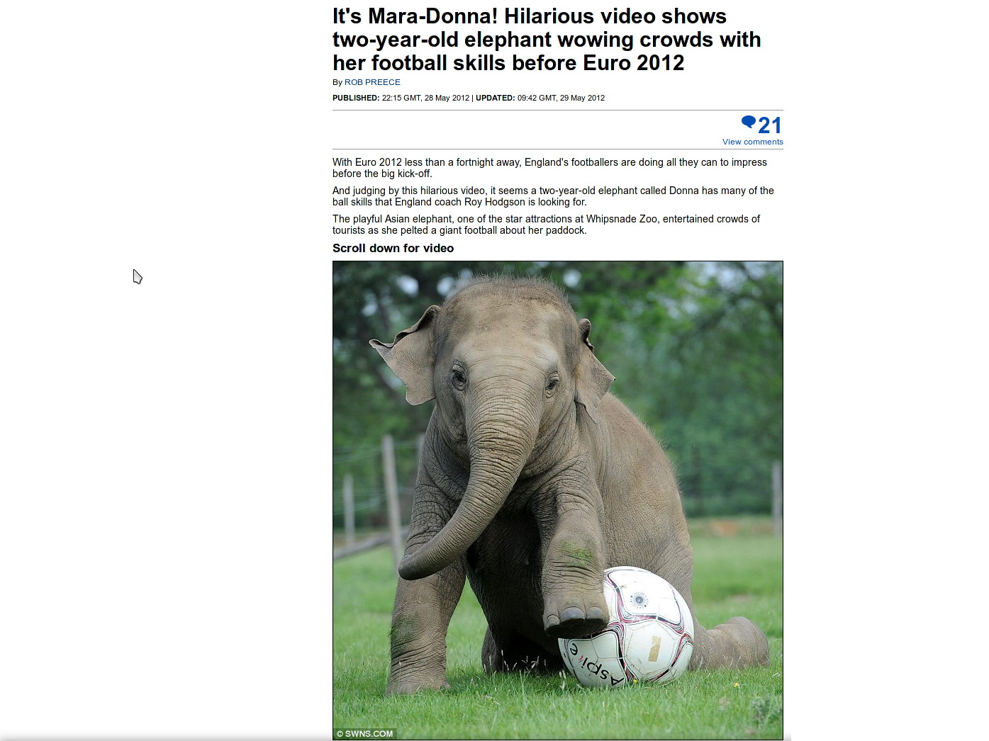Elefantenmädchen spielt Fußball – sehenswerte Elefanten…