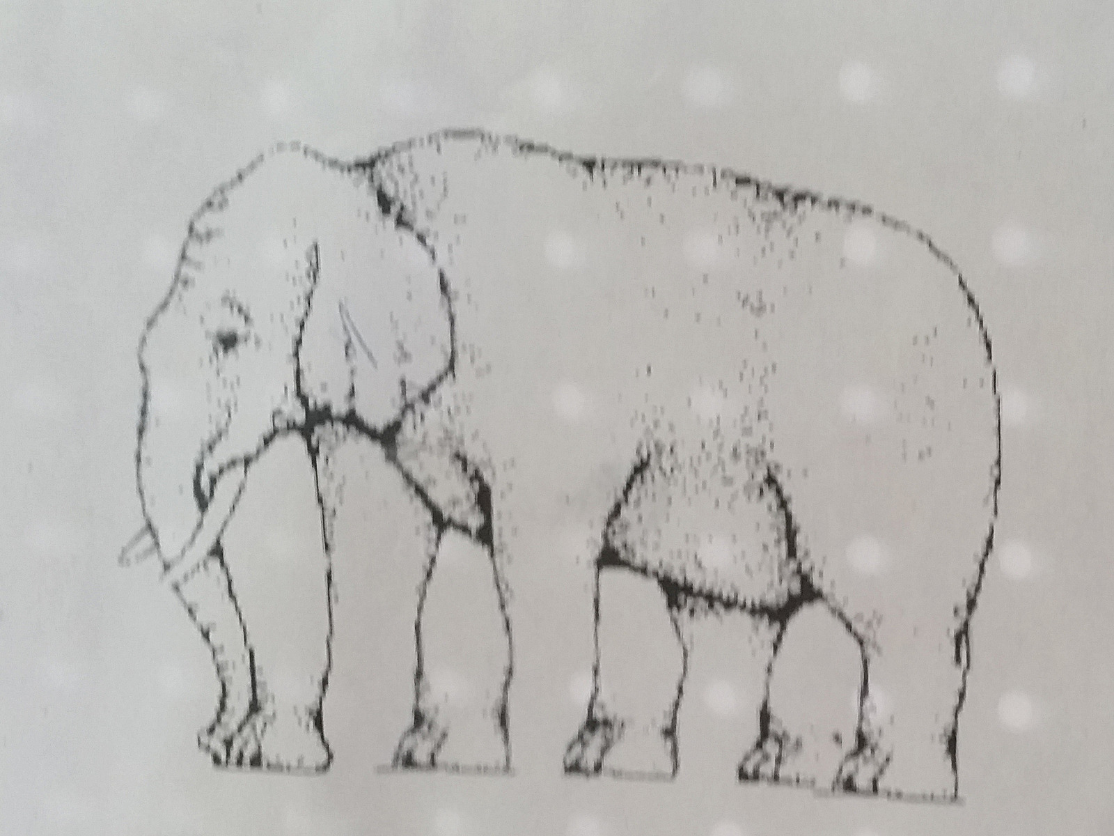 Vielbeiniger Elefant…