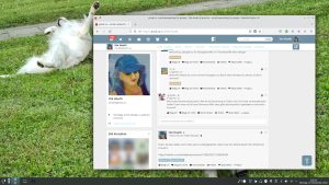 Screenshot friendica profil von ute, Bildschirmhintergrund mit hellem sich im Gras wälzenden Golden Retriever, Statusleiste von KDE auf Linux erkennbar
